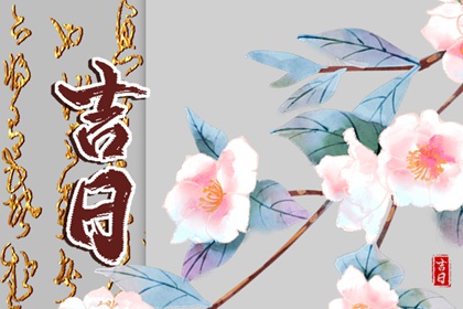 全家生肖都要看吗